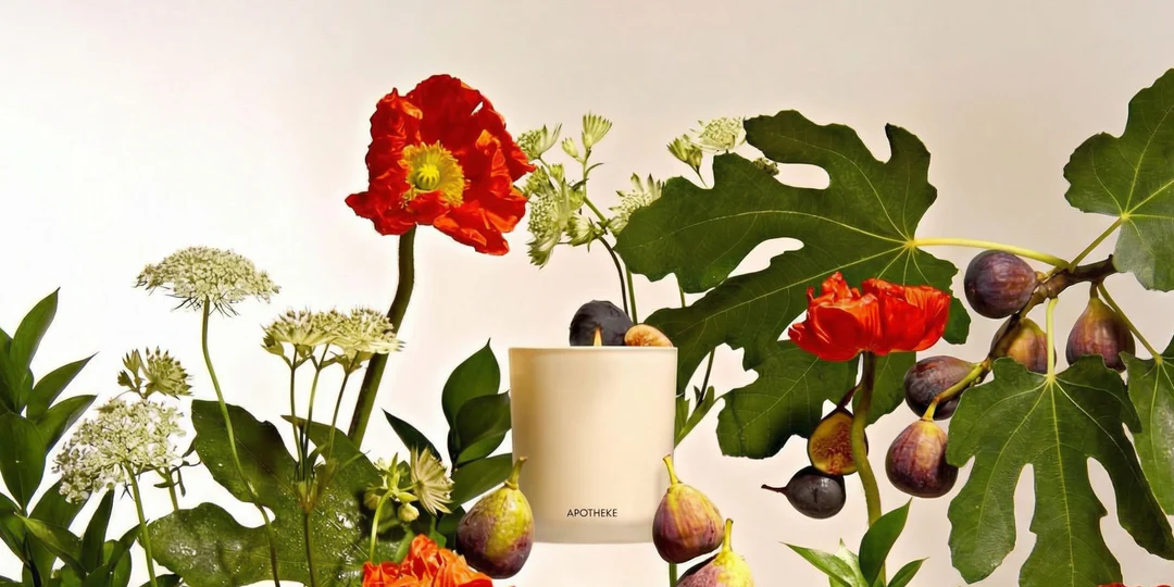 Elevate Your Everyday Atmosphere